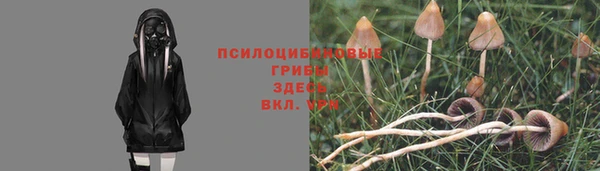 меф Переславль-Залесский