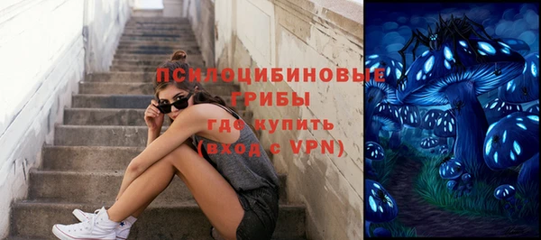 эйфоретик Пестово