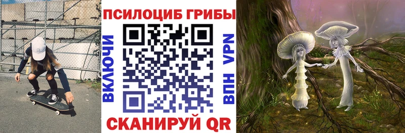 цена наркотик Томари Псилоцибиновые грибы прущие грибы
